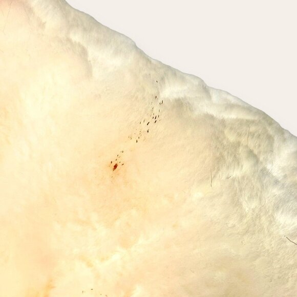 Build-A-Bear Workshop Magical Unicorn 15" Sparkling white & Pink Retired - Picture 13 of 16